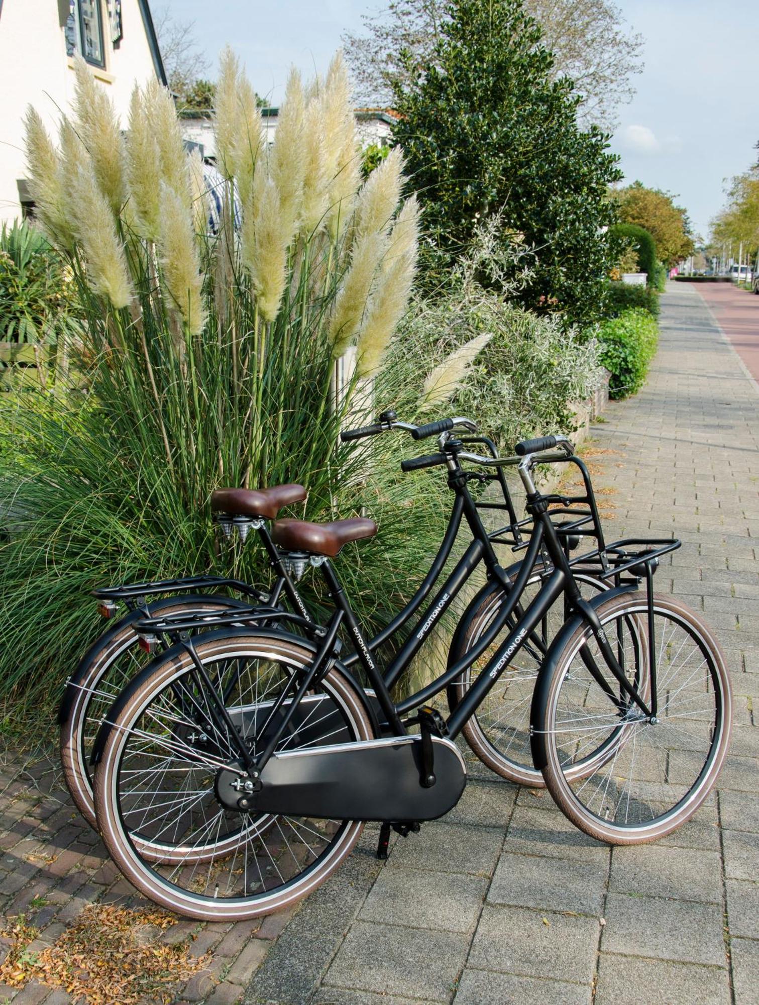 Appartement Beauvilliers Zandvoort Exteriör bild